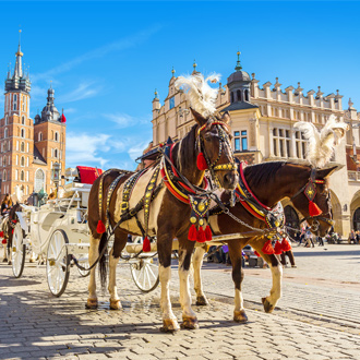 Paardenkoets op plein in Krakau, Polen